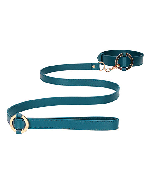 Halo Collar w/Leash