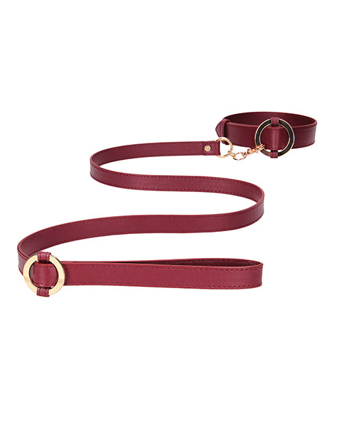 Halo Collar w/Leash