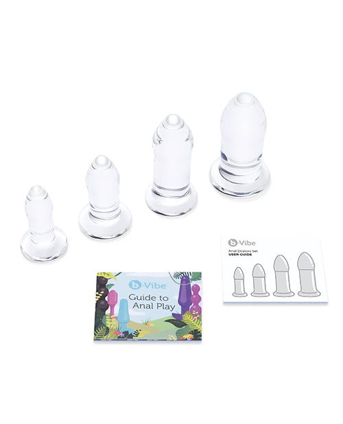 Glass Anal Dilator 4 pc Set