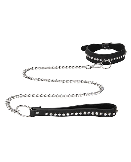 Diamond Studded Collar w/Leash