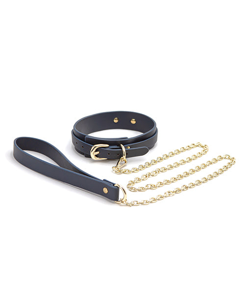 Vinyl Collar and Leash