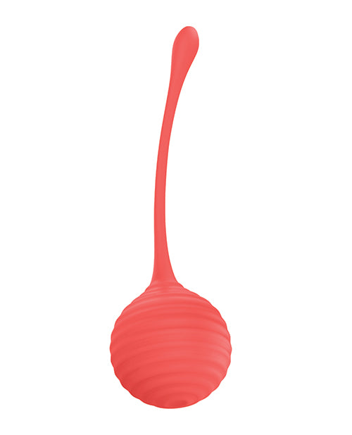 Silicone Kegel Ball Set