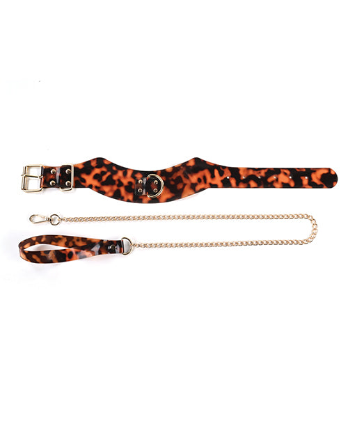 Sincerely Amber Collar &amp; Leash