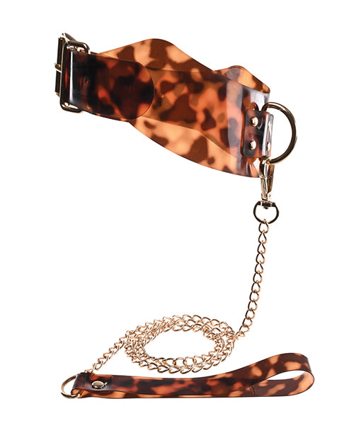 Sincerely Amber Collar &amp; Leash